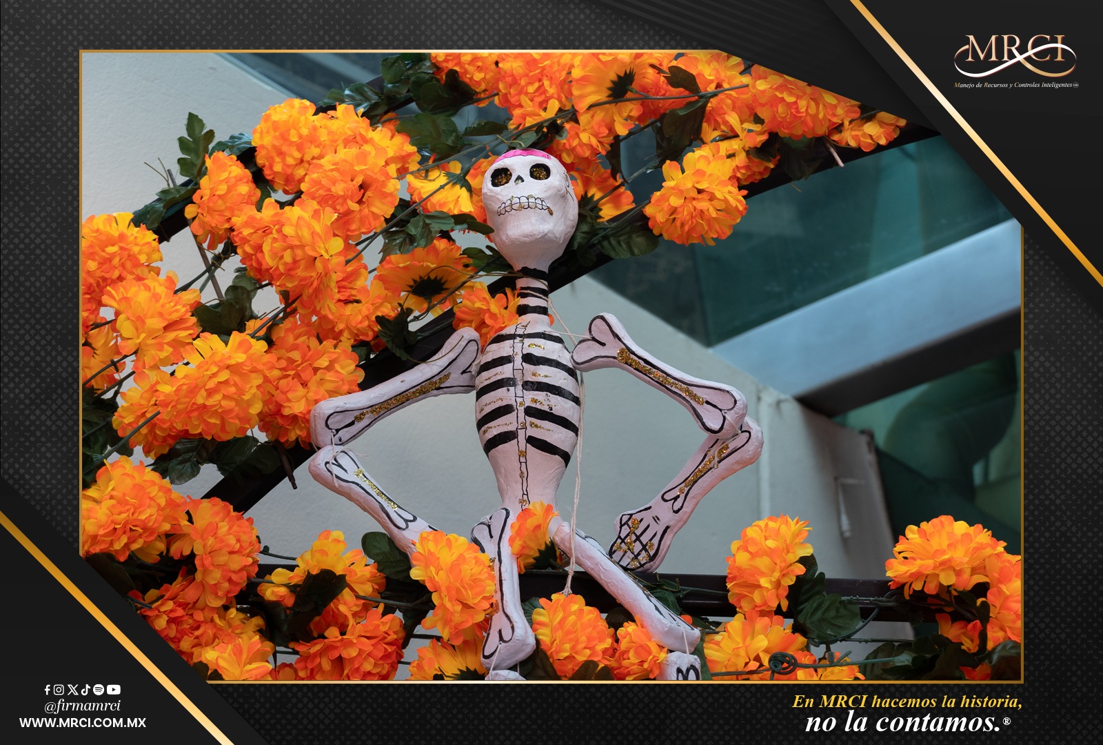 571536729_1399084142217626_207710094345113527_n