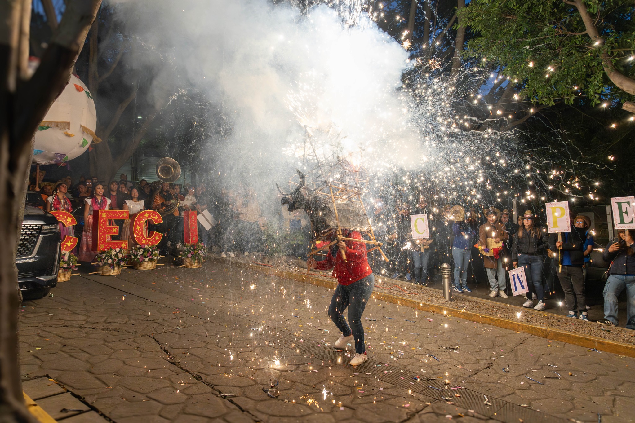 585377921_1416962440429796_5654631458735490803_n